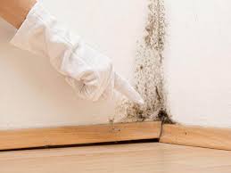 Mold Remediation for Rental Properties in Marion, OH